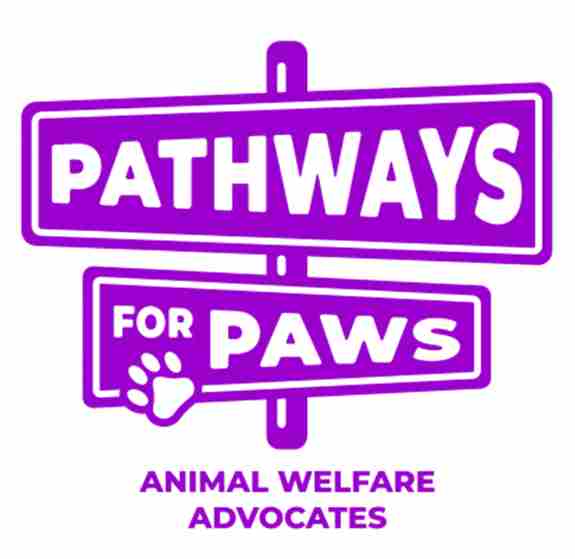 Pathways for Paws