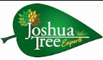 joshua tree experts