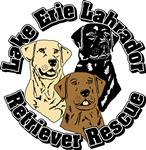 Lake Erie Labrador Retriever Rescue