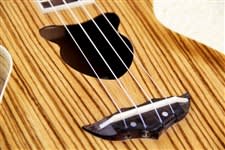 Goldfish Guitars