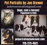 Pet Portraits by Joe Brewer