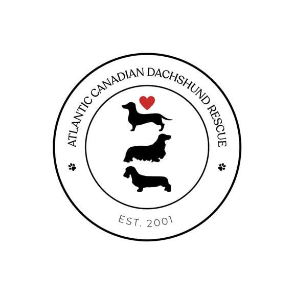 Atlantic Canadian Dachshund Rescue