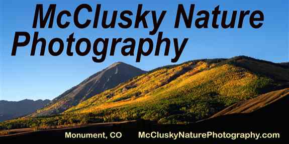McClusky Nature Photography, LLC