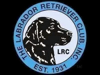 Rose City Labrador Retriever Club Group