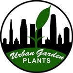 Urban Garden Plants