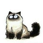 Bad Cat Craft