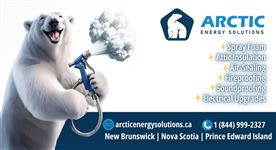 ARCTIC ENERGY SOLUTIONS