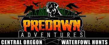 Predawn Adventures