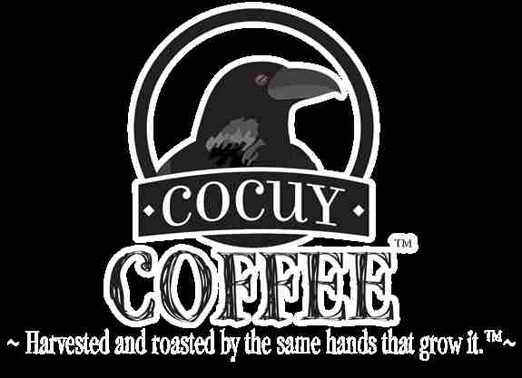 Cocuy Creations LLC