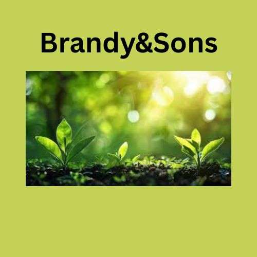 Brandy&Sons