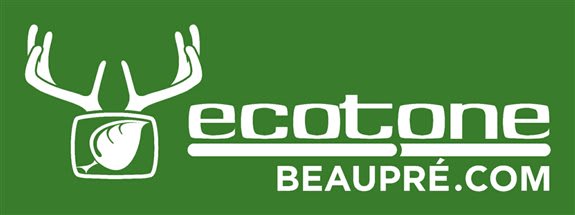 ECOTONE BEAUPRÉ