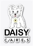 Daisy Cares