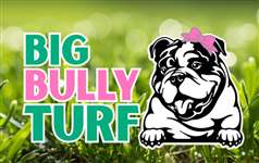 Big Bully Turf