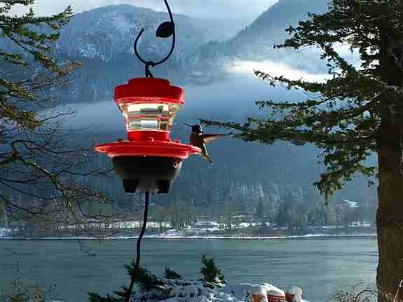 Hummers Heated Delight