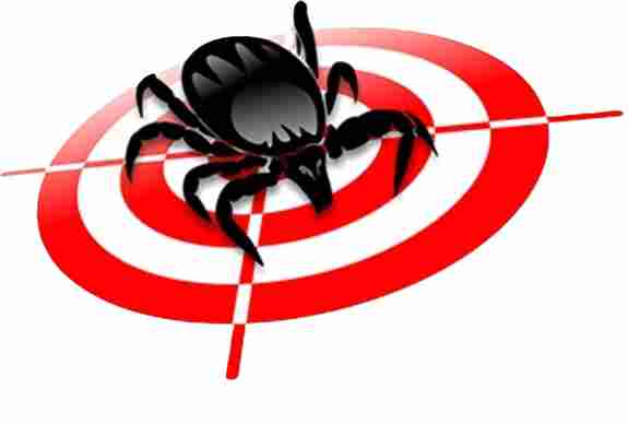 Eco-Tick Solutions Ottawa