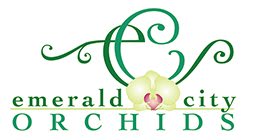 Emerald City Orchids