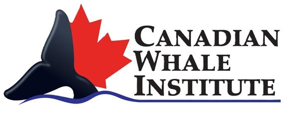 Canadian Whale Institute / Campobello Whale Rescue Team