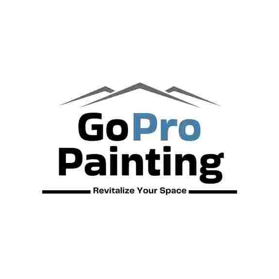 Go Pro Painting