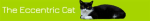 Eccentric Cat