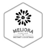 Meliora Forever LLC