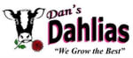 Dan's Dahlias