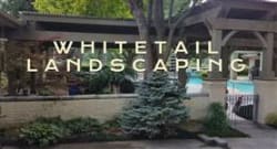 Whitetail Landscaping