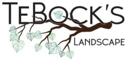 Tebock's Landscape