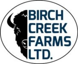 Birch Creek Bison