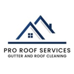 Pro Roof Services LLC