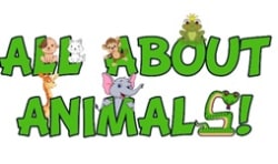 All About Animals