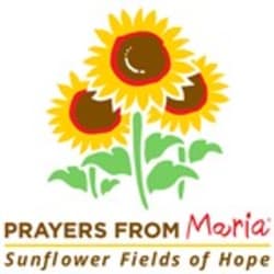 Prayers from Maria -Sunflowers & Hope