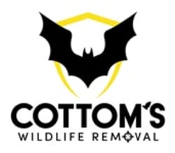 Cottom's Wildlife Removal