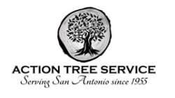 Action Tree Service