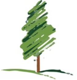 Arbor Image Tree Care