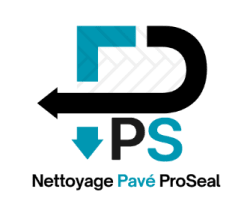 Nettoyage Pave Proseal