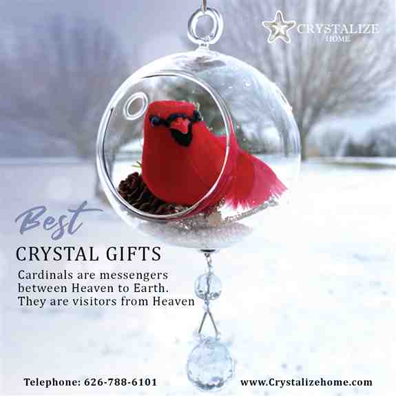 Red Cardinal in Glass Ornament/Terrarium with Magnetic Crystal
