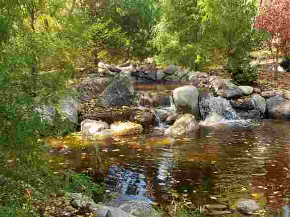 A serene waterfall space was created with a 40 foot pond in this yard to take your daily cares away. It also renovated the yard from the nasty swamp that was the initial problem area, problem was solved! A serene waterfall space was created with a 40 foot pond in this yard to take your daily cares away. It also renovated the yard from the nasty swamp that was the initial problem area, problem was solved!