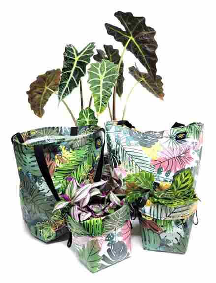 Our masks are the most comfy anywhere. Reversible and fun. Non-coated "quilting cottons" with high thread count. Our masks are the most comfy anywhere. Reversible and fun. Non-coated "quilting cottons" with high thread count.