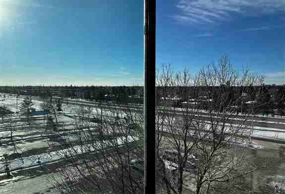 Enjoy your view as always.