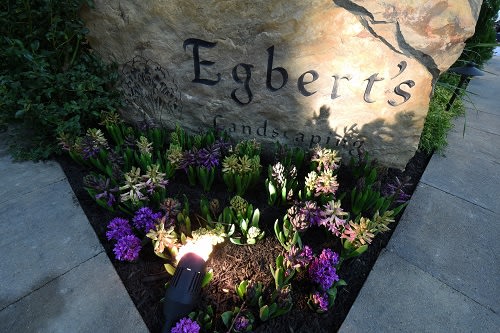 Egbert's