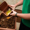 Man wearing green shirt dumping compost from inside into outdoor brown rectangular tall compost bin