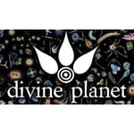 Divine Planet Studio