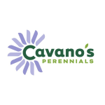 Cavano's Perennials, Inc.