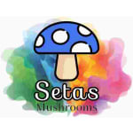 Setas Mushrooms