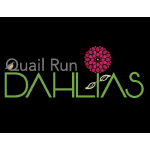 Quail Run Dahlias