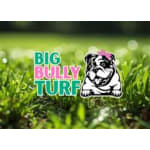 Big Bully Turf