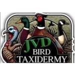 JVD Bird Taxidermy
