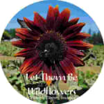 Let Them Be Wildflowers