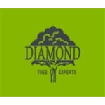 Diamond Tree Experts