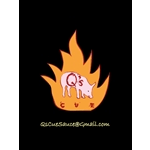 Q's Cue BBQ Sauce and Dry Rub